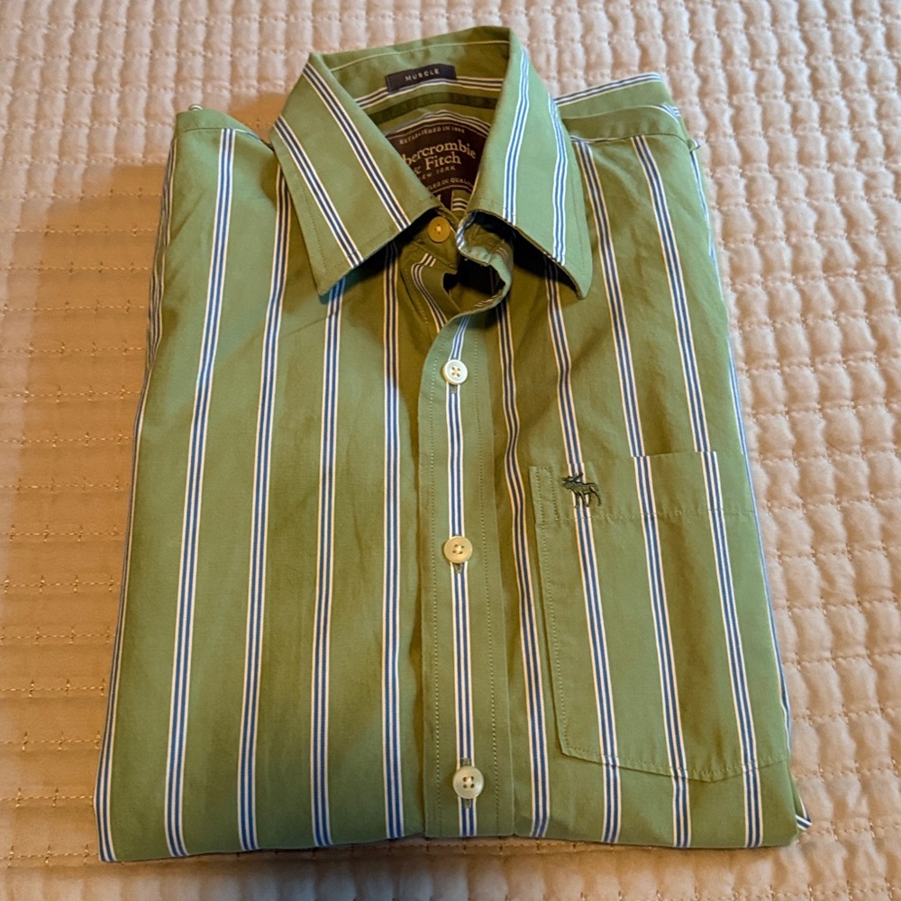 Abercrombie & Fitch green Striped Button Down Shirt